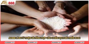 AE888 Làm Từ Thiện Và Tổng Hợp Các Chiến Dịch Đã Triển Khai
