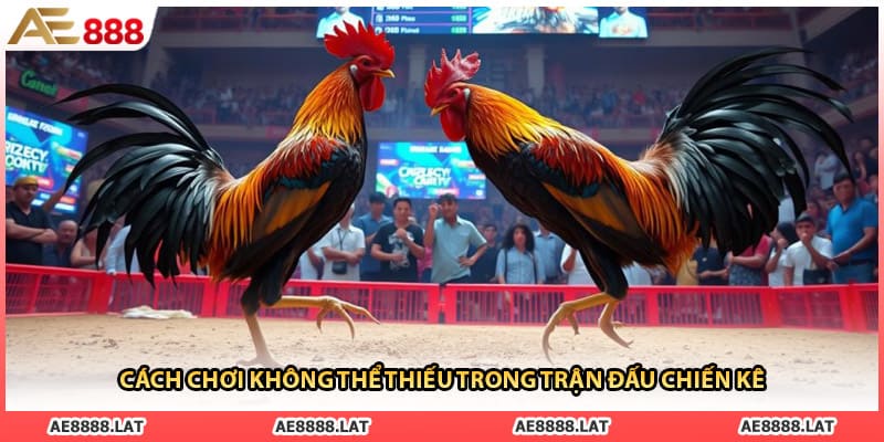 Cách chơi không thể thiếu trong trận đấu chiến kê