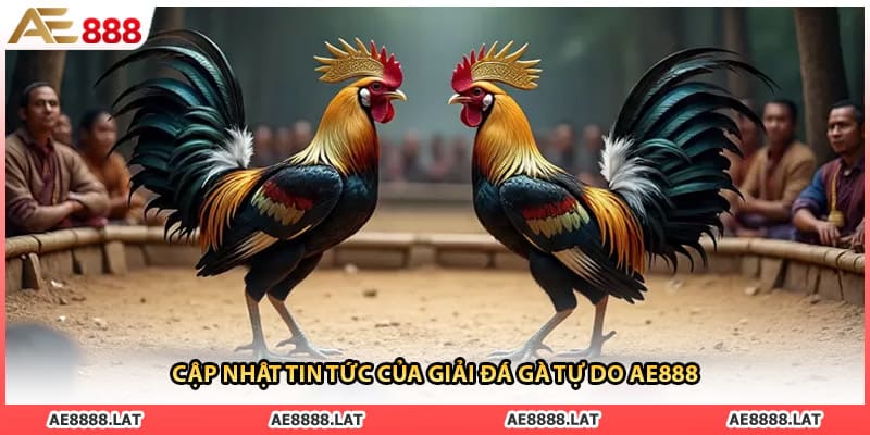 Cập nhật tin tức của giải đá gà tự do AE888