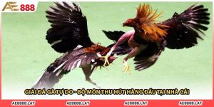 Giải Đá Gà Tự Do - Bộ Môn Thu Hút Hàng Đầu Tại Nhà Cái