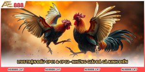 Live Trận Đấu CPC1 & CPC2 - Những Giải Đá Gà Kinh Điển