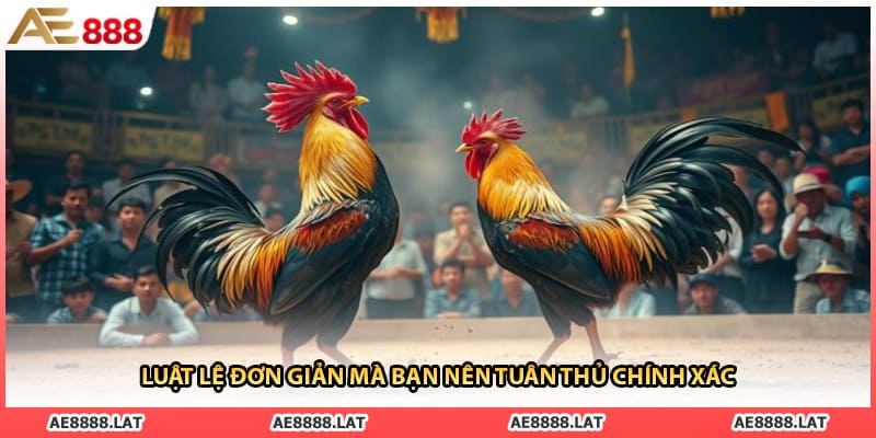 Luật lệ đơn giản mà bạn nên tuân thủ chính xác