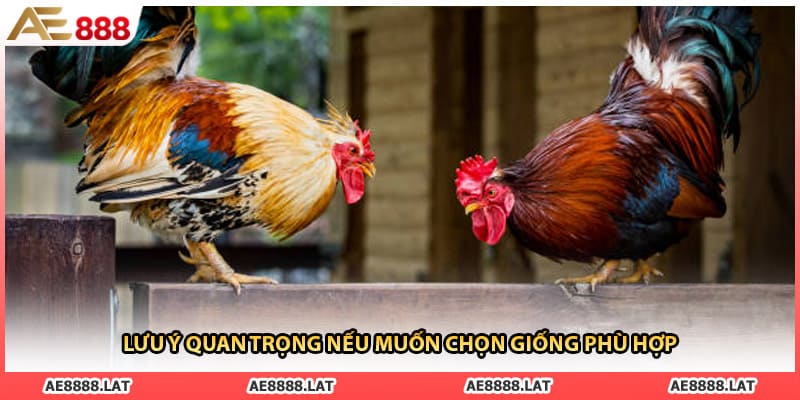 Lưu ý quan trọng nếu muốn chọn giống phù hợp